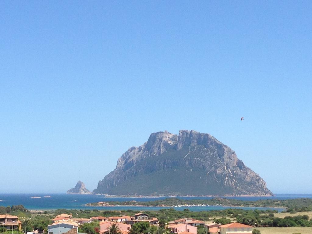 Case Vacanza Rosa Loiri Porto San Paolo Exterior foto